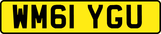 WM61YGU