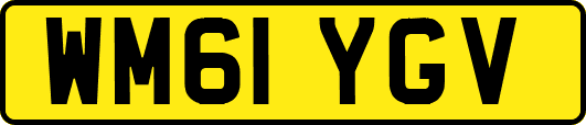 WM61YGV