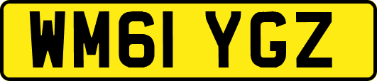 WM61YGZ