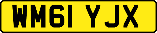 WM61YJX