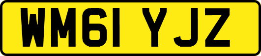WM61YJZ