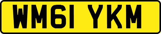 WM61YKM