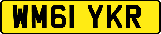 WM61YKR