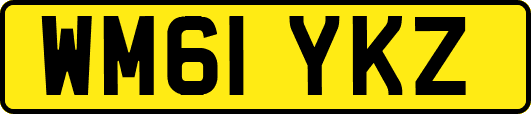 WM61YKZ