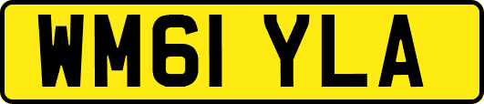 WM61YLA