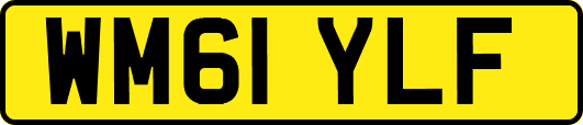 WM61YLF