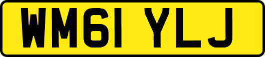 WM61YLJ
