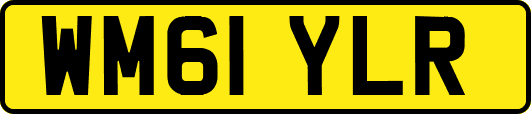 WM61YLR
