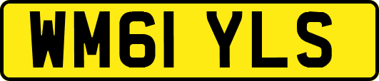 WM61YLS
