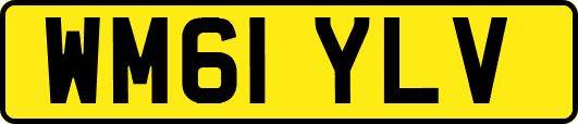 WM61YLV