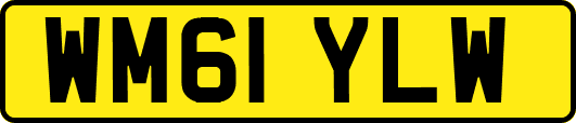 WM61YLW