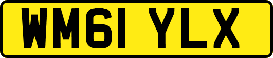 WM61YLX