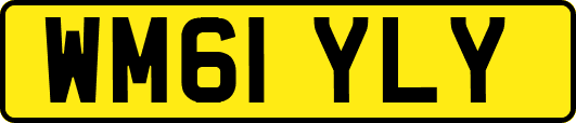 WM61YLY