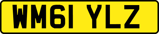 WM61YLZ