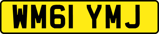 WM61YMJ