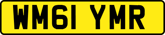 WM61YMR
