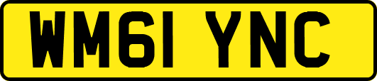 WM61YNC