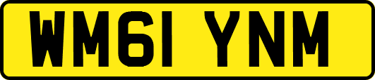 WM61YNM
