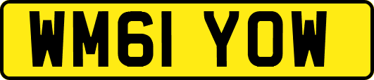 WM61YOW