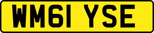 WM61YSE