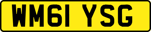 WM61YSG
