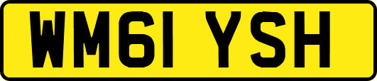 WM61YSH