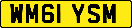 WM61YSM