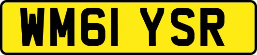 WM61YSR
