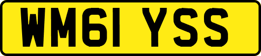 WM61YSS