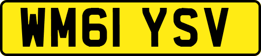 WM61YSV