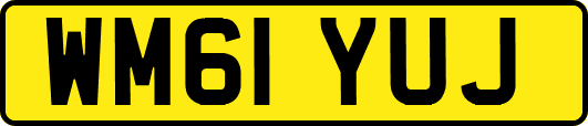 WM61YUJ