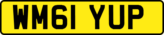 WM61YUP
