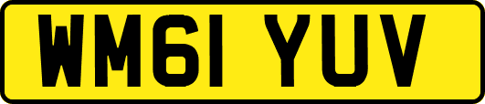 WM61YUV