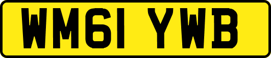 WM61YWB