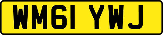 WM61YWJ