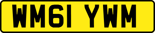 WM61YWM