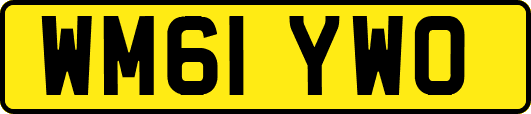 WM61YWO