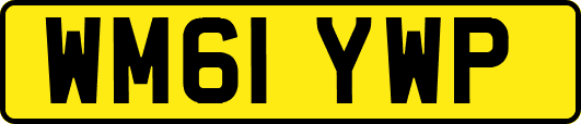 WM61YWP