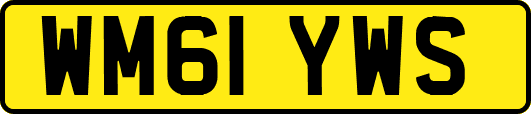 WM61YWS