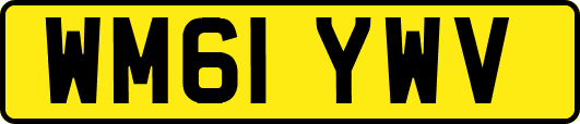 WM61YWV
