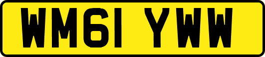 WM61YWW