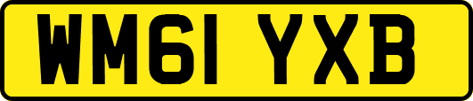 WM61YXB