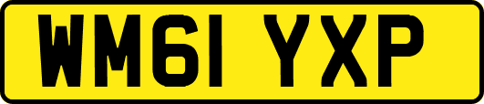 WM61YXP