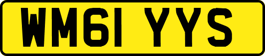 WM61YYS
