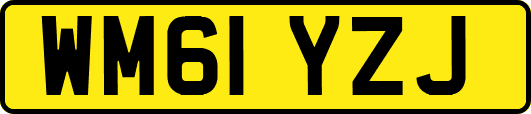 WM61YZJ