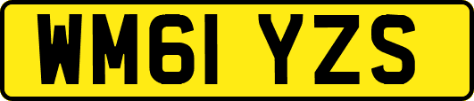 WM61YZS