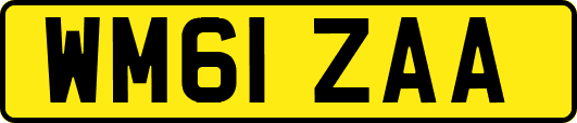 WM61ZAA