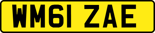 WM61ZAE
