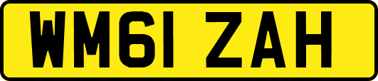 WM61ZAH