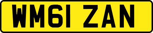 WM61ZAN